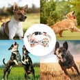 thumbnail image 5 of Bow tie Dog collar, soft and comfortable detachable bow tie adjustable cute dog collar, 5 of 5