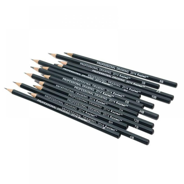 High-density Woodless Graphite Pencil Set Drawing Pencil Kit Essential  Sketching Pencils Art Pencils Set 2H 2B 4B Assorted Degrees for Beginner