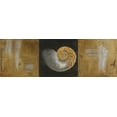 thumbnail image 2 of Pinto, Patricia 18x9 Gold Ornate Wood Framed with Double Matting Museum Art Print Titled - Seashells II, 2 of 4