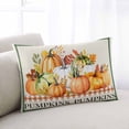 thumbnail image 2 of Vintage Thanksgiving Throw Pillow Cover 20 x 26 Inch Decorative Pillow Cover Orange Pumpkins Rustic Fall Lumbar Pillowcase Seasonal Rectangle Cushion Case for Couch Sofa Bed Living Room, 2 of 7