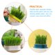 thumbnail image 2 of 4 macetas de hierba gatera para gatos, bandeja para brotes de plantas hidropónicas, maceta de hierba gatera, 2 of 8