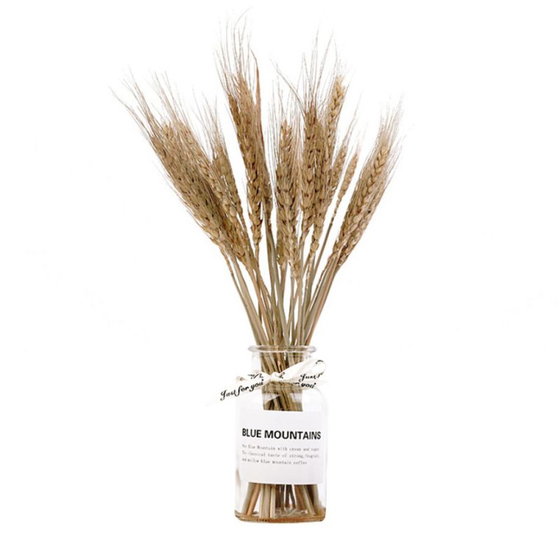 Golden Natural Dried Wheat Sheaves, Dried Wheat Stalks Bunches + Bottle