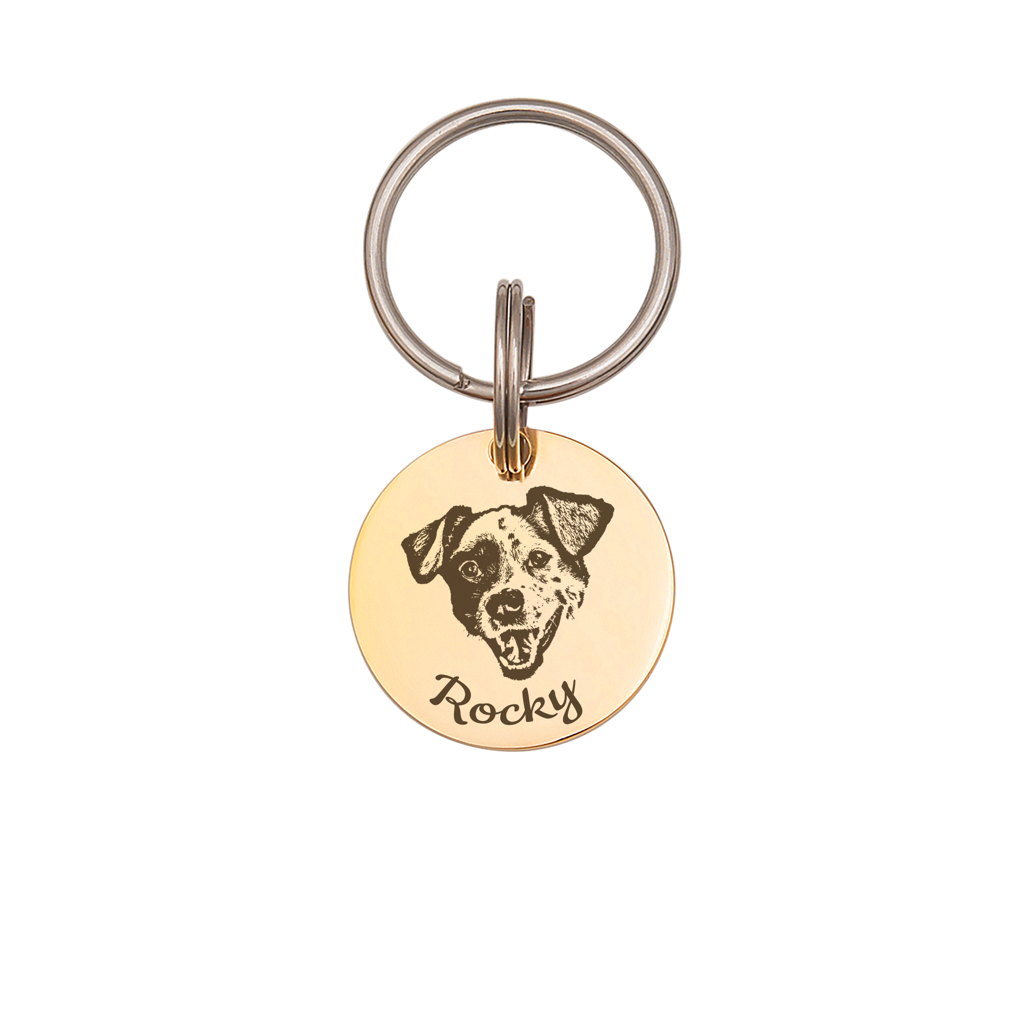 Anavia Metal Stainless Steel Round Name - Dog Picture Birthday Holiday Christmas Engraved Dog Cat ID Tag, Gold