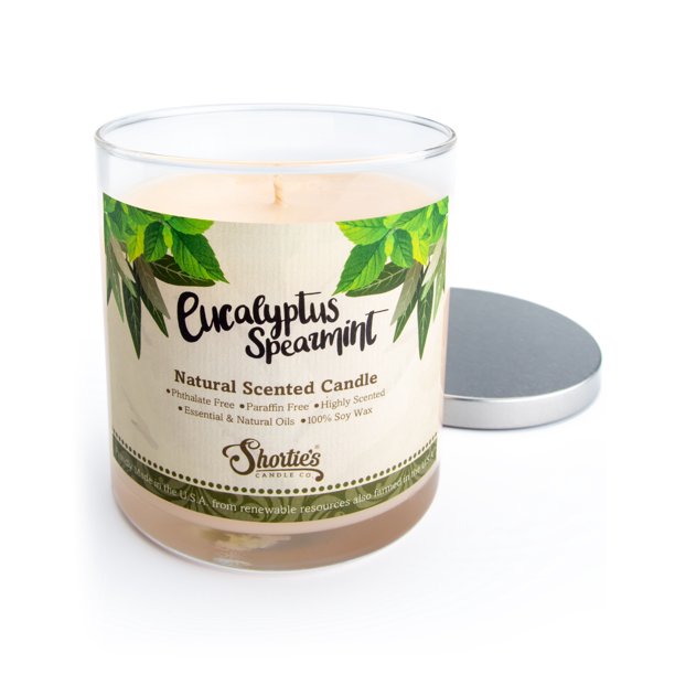 Eucalyptus Spearmint Scented Natural Soy Candle, Essential Fragrance