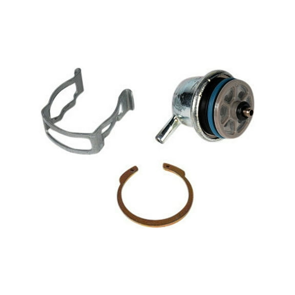 ACDelco GM Original Equipment 217-3073 Fuel Injection Pressure Regulator Kit with Clip and Snap Ring Fits select: 1999-2005 CHEVROLET SILVERADO, 2001-2005 CHEVROLET TAHOE