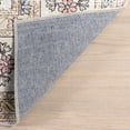 thumbnail image 3 of nuLOOM Teja SplashGuard Persian Medallion Machine Washable Area Rug, 6' x 9', Teja Peach, 3 of 11