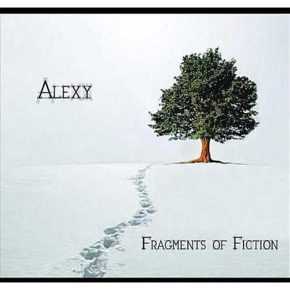 Fragments of Fiction