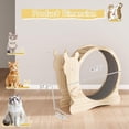 thumbnail image 2 of Homall Roue d'Exercice pour Chat, Grande Roue de Course d'Exercice pour Chat de 42 Pouces avec Mécanisme de Verrouillage/roue Silencieuse/piste Tapis, Tapis Roulant pour Chats d'Intérieur, Bois Naturel, 2 of 7