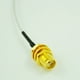 thumbnail image 2 of 10X Cable Pigtail U.FL IPX A SMA Hembra 1.13mm para Red Wifi, 2 of 4