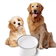 thumbnail image 4 of Ceramic Raised Cat Dishes or Dog Bowl, Pet Food or Water Bowls without pattern, 4 of 5
