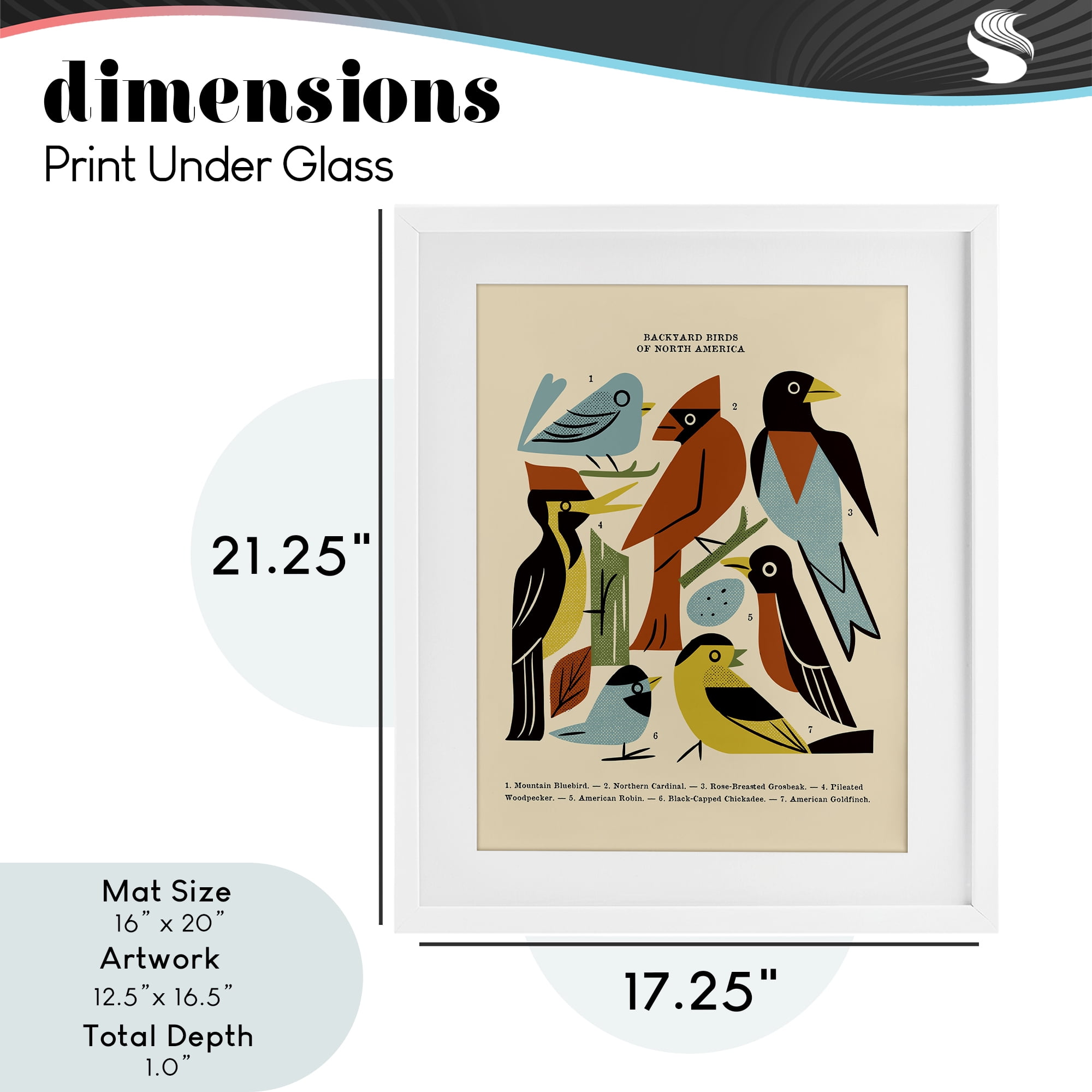 Backyard Birds Midcentury Modern White Framed Print Under Glass, design by Renea L. Thull