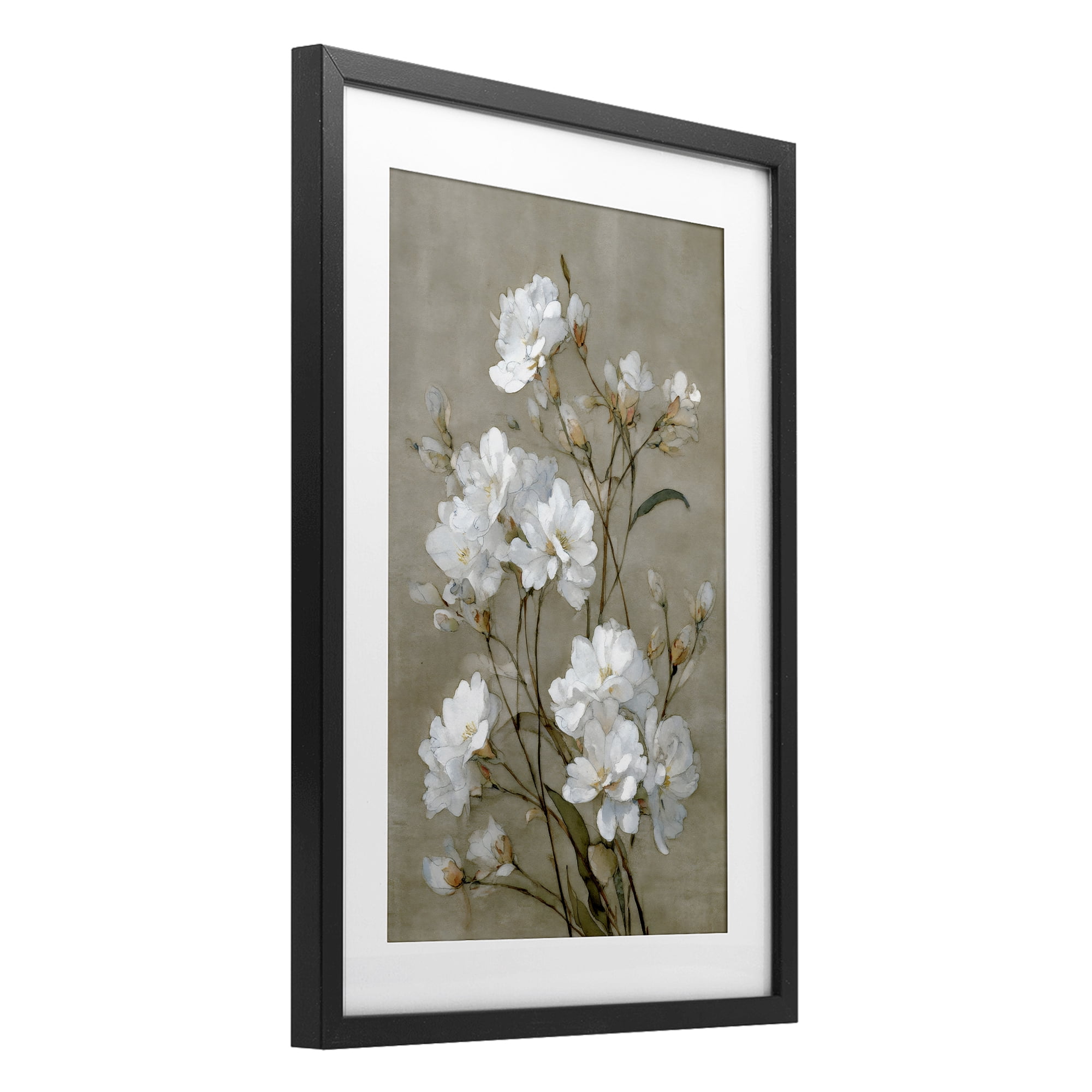 Stupell Industries Aged White Botanical Study Black Framed Print Under Glass, design by Petal Prints Design