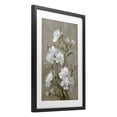 thumbnail image 2 of Stupell Industries Traditional Aged White Botanical Study Black Framed Print Under Glass, 14 x 20, by Petals Prints Design, 2 of 8
