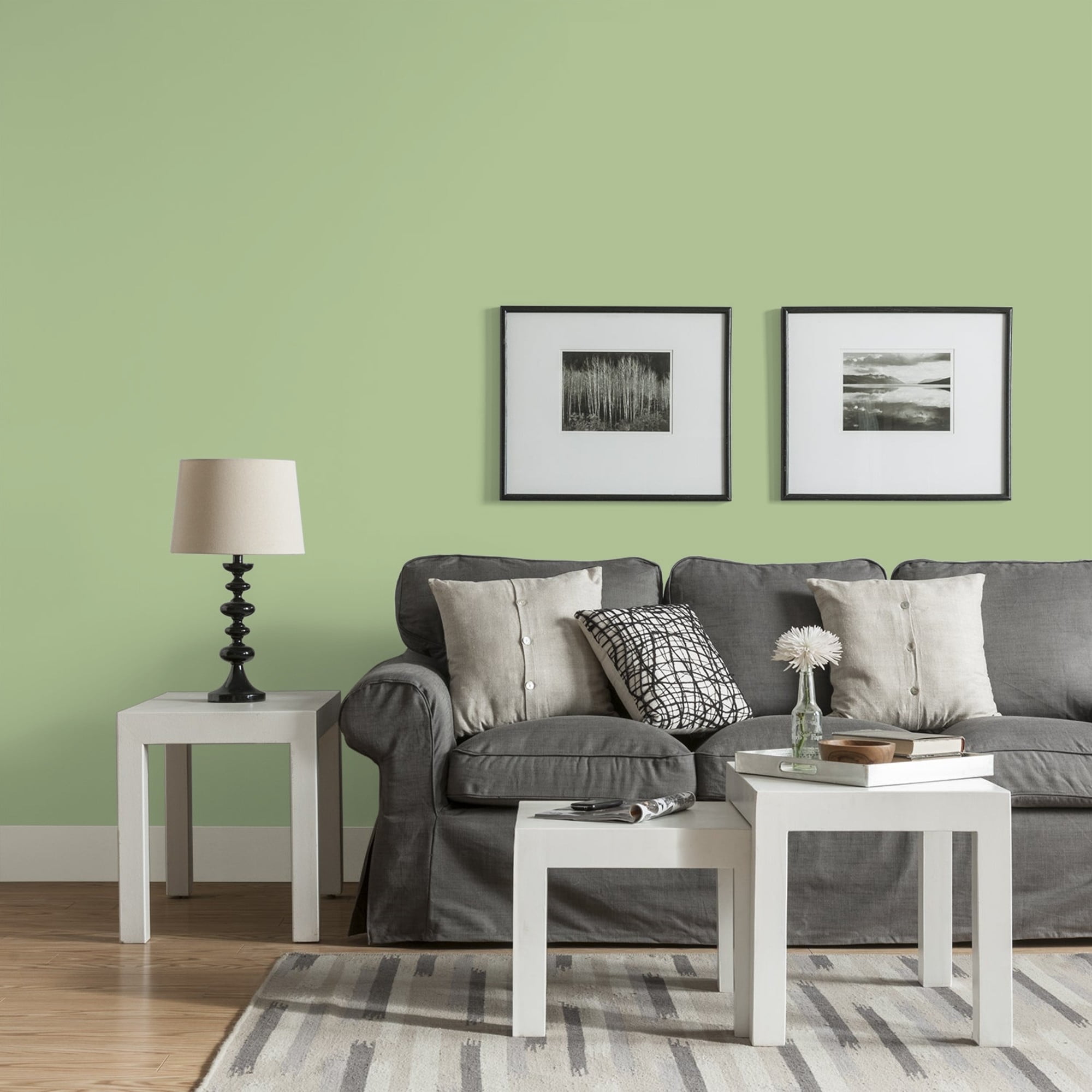 Glidden HEP Harmonious / Green, Eggshell Interior Paint with Primer, 1 Gallon
