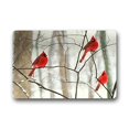 thumbnail image 1 of RYLABLUE Northern Cardinal Bird Doormat Floor Mats Rugs Outdoors/Indoor Doormat Size 23.6x15.7 inches, 1 of 1