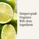 thumbnail image 4 of Home Scent Refill Pura & Brooklyn Candle Studio Smart Difusor, 4 of 8
