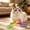 G, variant on Interactive Apple-Shaped Cat Toy, Automatic Hide-and-Seek Cat Teaser, Moving Wand Cat Puzzle Toy for Indoor Cats to Relieve Boredom and Stimulate Hunting Instincts A
