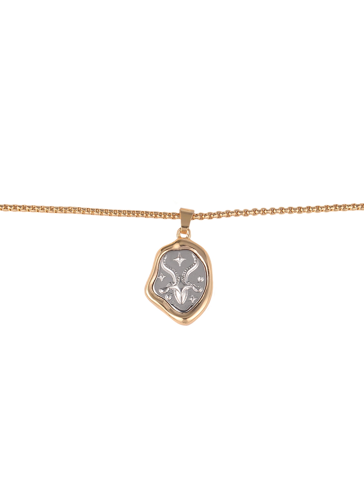Time and Tru Goldtone Silvertone Reversible Pendant "Capricorn" Necklace