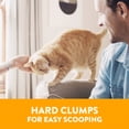 thumbnail image 2 of Arm & Hammer Multi Cat, Clean Burst, Clumping Cat Litter, 18KG, 2 of 7