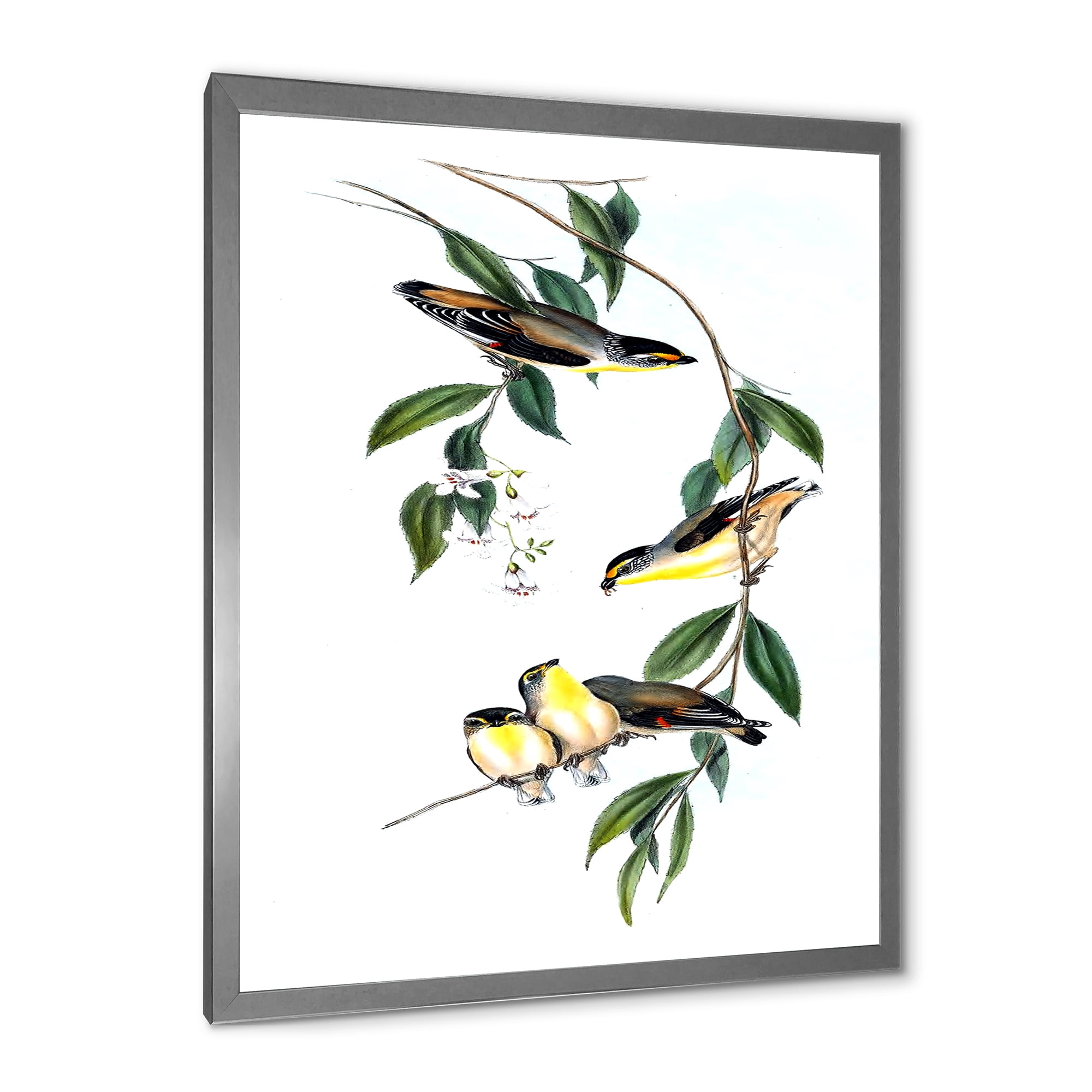Designart 'Ancient Bird III' Traditional Framed Art Print