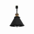 thumbnail image 1 of FSLiving Retro Style Adjusted Angle J-Type Track Head Lighting E26 Base Black Cone Metal Ceiling Light Track Light Fixture For Gallery Mirror Front Office Kitchen Bulb and Track Not Included - 1 Pack, 1 of 2