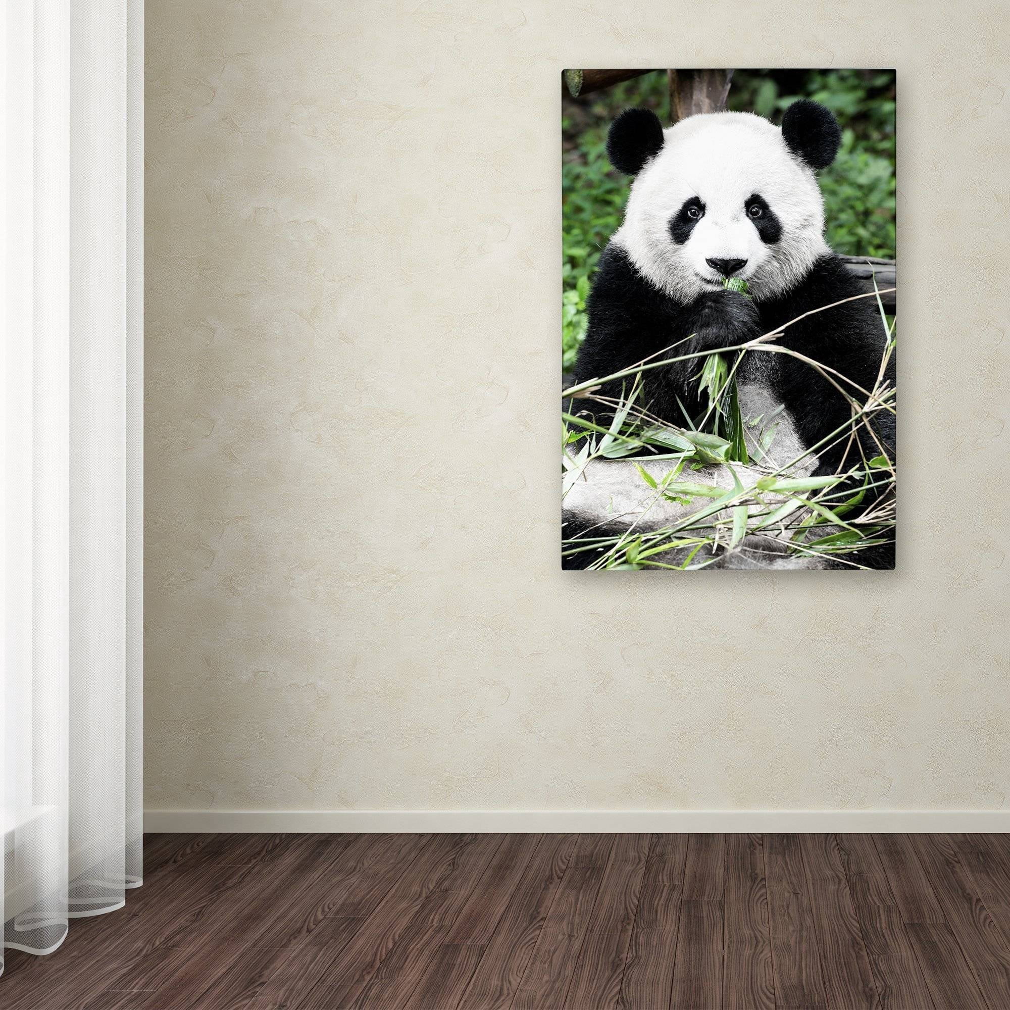 Trademark Fine Art "Giant Panda" Canvas Art by Philippe Hugonnard