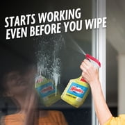 Windex Multi-Surface, Disinfectant, and All-Purpose Cleaner, Spray Bottle, Citrus Scent, 32 fl oz
