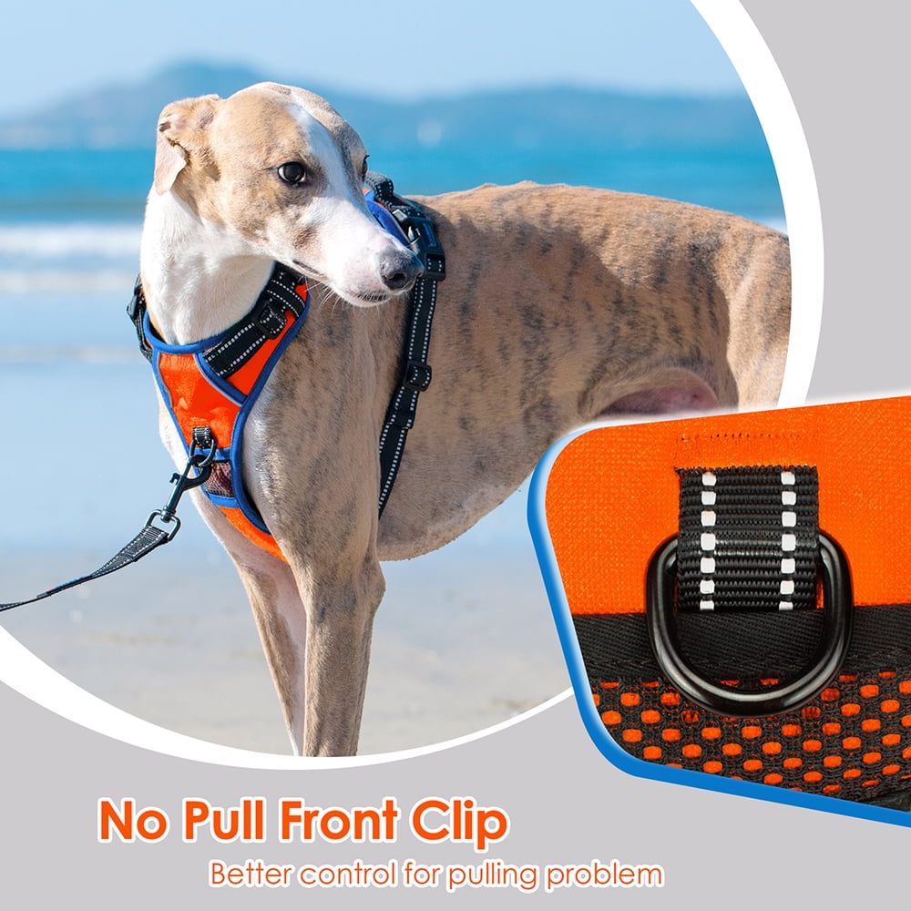 PHOEPET 2019 Upgraded No Pull Dog Harness, Reflective Adjustable Vest, with a Training Handle + 2 Metal Leash Hooks+ 3 Snap Buckles +4 Slide Buckles