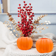 thumbnail image 5 of Pumpkin Vase Flower Vase White Planter For Fall Thanksgiving Halloween Home Decor Dried Flower Arrangement, 5 of 5