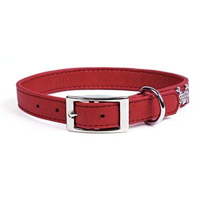 red dog collar