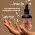 thumbnail image 6 of Lifecykel Shiitake Mushroom Extract 1oz, 6 of 7