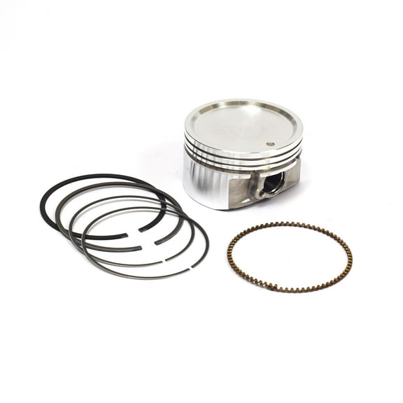 Briggs and Stratton Piston Assembly