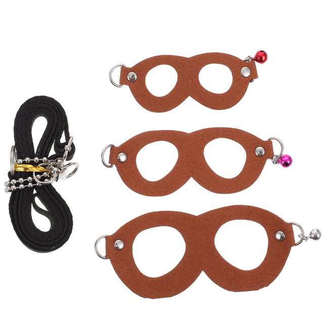 Weiweiguan 1 Set Sugar Glider Traction Rope Small Pet Outdoor Leash Pet Pulling Rope Pet Supply