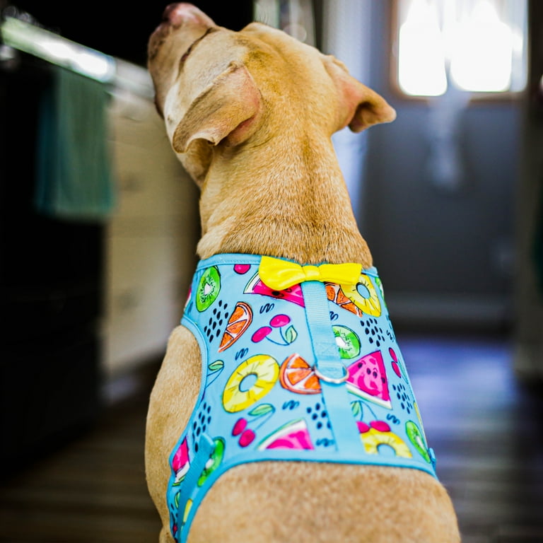 Vibrant life fashion harness for cheap dogs