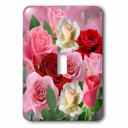 White Double Toggle Switch 3dRose Pink Red and White Rose Garden with Soft Bokeh Background, Double Toggle Switch ()