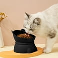 thumbnail image 4 of Raised Cat Bowls, Tilted Elevated Cat Food Bowl for Indoor, Anti Vomiting & Protect Pet's Spine, Pet Feeder Dish for Flat Faced Cats and Kitten, 4 of 6