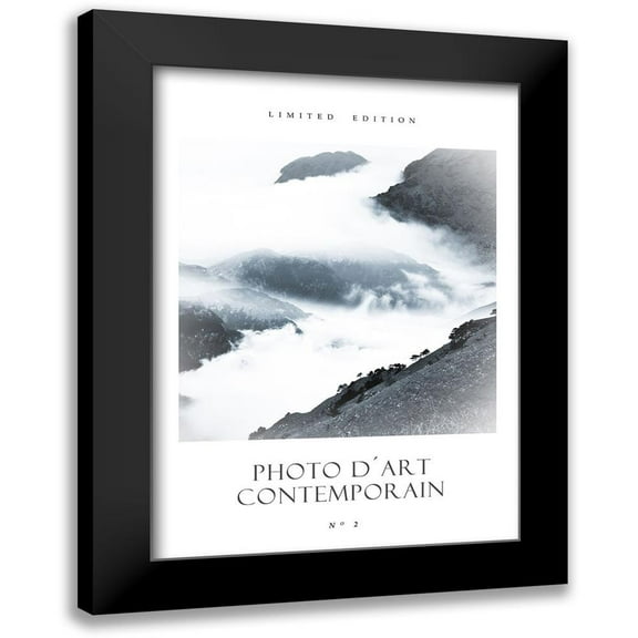 Design Fabrikken 11x14 Black Modern Framed Museum Art Print Titled - Photo DÂ´Art No 2