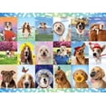 thumbnail image 4 of Buffalo Games - Dog Days - It's a Ruff Life - 750 Piece Jigsaw Puzzle, 4 of 5