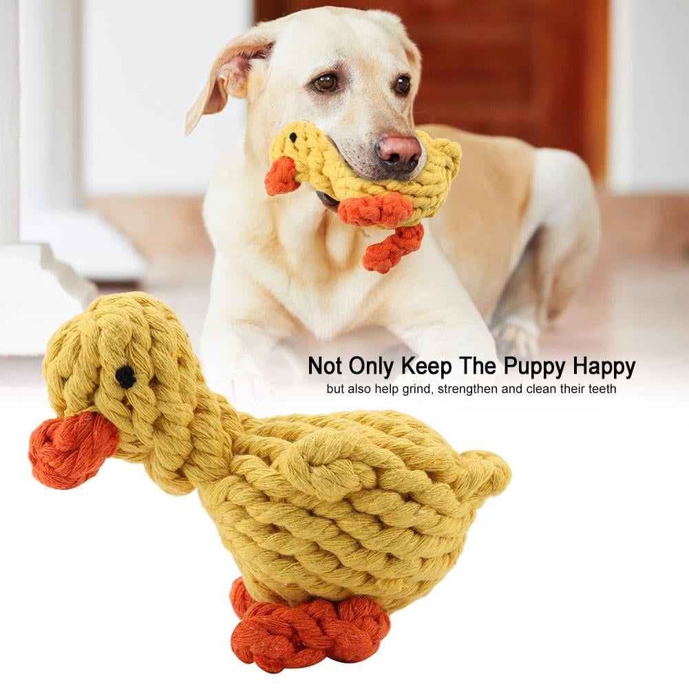 duck rope dog toy
