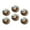 C2469, variant on Glass Refrigerator Magnet 6Pcs Magnetic Fridge Sticker,Decor for Kitchen,Whiteboard,Cabinet,Dark Style Floral Skull