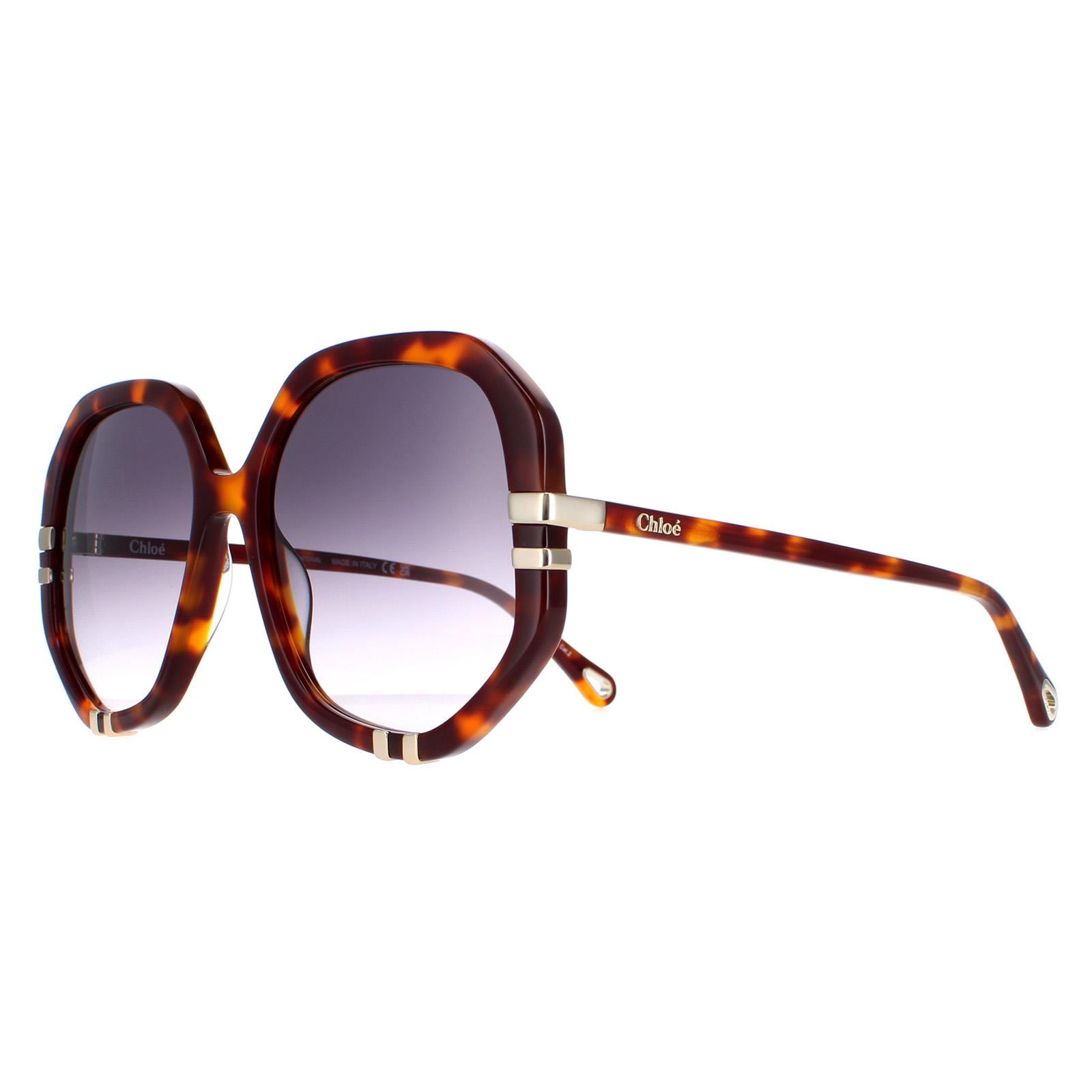 Chloe CH 0104S Plastic Womens Flat-top Sunglasses Havana