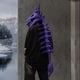 thumbnail image 4 of Conjunto de Esqueleto de Dinosaurio Realista, 4 of 5