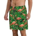 thumbnail image 2 of Goofa Flamingo Printed Mens Swim Trunks Summer Quick Dry Short Beach Swimwear Bathing Suits-XX-Large, 2 of 9