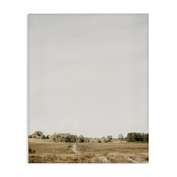 Stupell Industries Transitional Country Sky Photography Canvas Art, 24 x 30, by Leah Straatsma