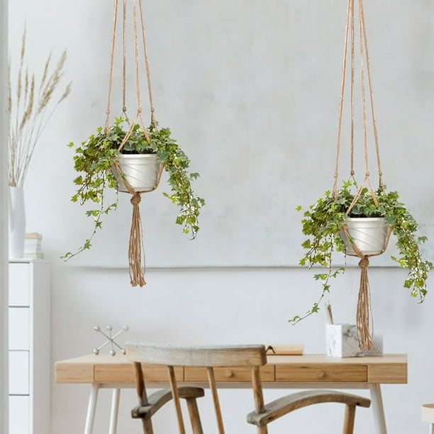 Winter Hanging Baskets
