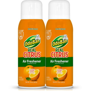 SMELLS BEGONE Essential Oil Air Freshener Bathroom Spray - Orange Blossom -  (4 Ounce) 