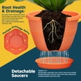 thumbnail image 4 of 10-Inch Whiskey Barrel Planters Outdoor Pack of 5 - Durable Plastic Plant Pots for Indoor & Outdoor Use with Drainage & Saucer, Lightweight Rustic Barrel Planters for Flowers, Herbs & Small Plants, 4 of 4