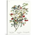 thumbnail image 1 of ARTCANVAS Warbler Canvas Art Print by John James Audubon - Size: 18" x 12" (1.50" Deep), 1 of 9
