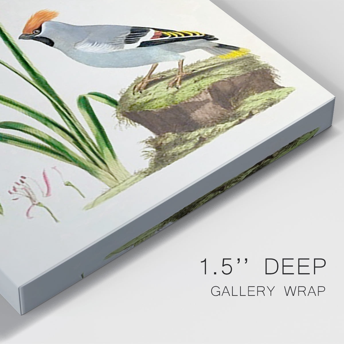 Bird in Habitat II Premium Gallery Wrapped Canvas - Ready to Hang