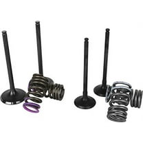 Wiseco SVKB4341 Garage Buddy replacement valve Set